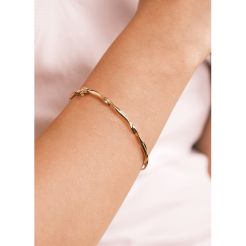 Altın Burgu Kelepçe